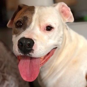 Meet your Posher, DeAnn